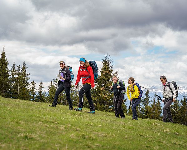 Gruppe von glücklichen Wander:innen auf einer grünen Wiese, die gerade den Hügel nach oben gehen